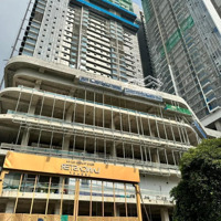 Trực Tiếp Cđt Trung Thủy 15 Suất Mua Lancaster Legacy Chiết Khấu Đến 12% Dự Kiến Từ 10,5Tỷ Gồm Vat