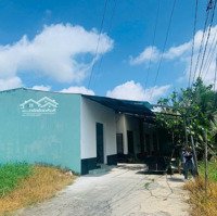 Bán 344M2 Đất Thổ Trung Tâm Thị Trấn Cần Giuộc, Shr, Giá Hấp Dẫn Chưa Từng Có