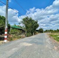 Bán 1000M2 (Có 300M2 Thổ) Đất Làm Nhà Vườn, Kho Xưởng Giá Rẻ, Mặt Tiền Đường Nhựa 9M, Shr