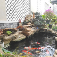 Bán Căn Biệt Thự Đẹp Hơn 200M2 Mặt Tiền Bến Nôm Phường Thắng Nhất Giá Yêu Thương