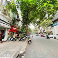Mặt Phố Trần Xuân Soạn 48.5M2 7 Tầng, Vỉa Hè Rộng, Kinh Doanh Sầm Uất