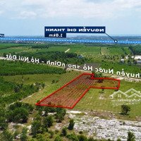 Cơ Hội Đầu Tư Đất Tạimặt Tiềnkênh Sông Dinh 3, 5.3 Sào (27X175), Giá Bán 1.2 Tỷ, Xã Tân Bình, Tx La Gi