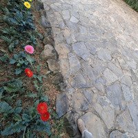 Bán Trang Trại, Khu Nghỉ Dưỡng Tại Xã Vân Hòa, Ba Vì, Hà Nội, Giá Ưu Đãi 13,5 Tỷ, 13151 M2
