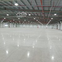 Cho Thuê Kho Xưởng Khu Công Nghiêp Long Hậu . Huyên Cần Giuộc . Tỉnh Long Hậu