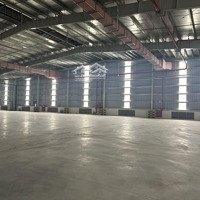 Cho Thuê Kho Xưởng Khu Công Nghiêp Long Hậu . Huyên Cần Giuộc . Tỉnh Long Hậu