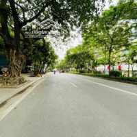 Tôi Cần Bán Nhà Mặt Phố Láng Hạ,Đống Đa Gần Giảng Võ,Thái Hà,Huỳnh Thúc Kháng,Thành Công,112M,60 Tỷ