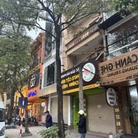 Cho Thuê Mặt Bằng Kinh Doanh Phố Đoàn Trần Nghiệp, Vị Trí Cực Đẹp Làm Hàng Ăn, Cafe, Văn Phòng