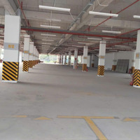 Cho Thuê Nhà Để Xe Cao Tầng Tại Eurowindow Twins Park Gia Lâm - 3 Tầng, Diện Tích 3.500M2/Tầng