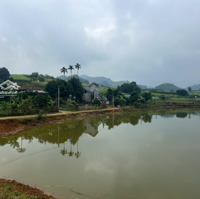 Cần Bán 1253M2, Có 1000M2 Thổ Cư Bám Hồ Tại Cao Phong Hoà Bình, 1,X Tỷ, 0969065802