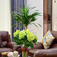 Bán Nhà Vũ Đức Thận, Long Biên 75M2 Vỉa Hè Đường 15M - Hai Mặt Thoáng Kinh Doanh Sầm Uất Giá Bán 17 Tỷ5