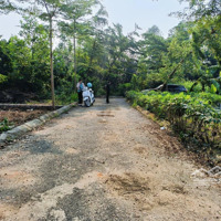 Sót Lại Lô Đất Rẻ Nhất Thôn 8 Tân Xã Mặt Tiền 6M Đường Thông Cách Trường Đh Fpt Chỉ 1.5Km