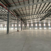 Cho Thuê Xưởng Trong Kcn Bàu Bàng - Bình Dương. Cho Thuê Từ 2000M2 Đến 60.000M2