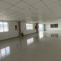 Cho Thuê Xưởng Trong Kcn Bàu Bàng - Bình Dương. Cho Thuê Từ 2000M2 Đến 60.000M2