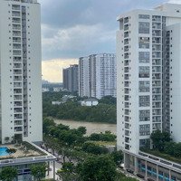 Đi Mỹ Bán Gấp Căn Góc Parkview Lầu Cao View Sông Giá Rẻ Nhất Thị Trường 1 Đời Chủ Chưa Qua Đầu Tư