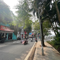 Hàng Hiếm Tại Trích Sài, Bưởi, Tây Hồ, Hà Nội, 41,5 Tỷ, 61M2