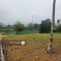 Cần Bán Nhanh 1242M/400M Tc Tại Gò Mè - Cư Yên View Hồ Giá Chỉ 6 Triệu/M2. Chính Chủ Cần Bán Nhanh