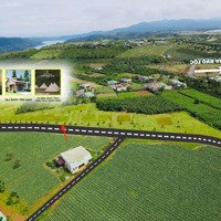 Chính Chủ Bán Gấp Đất Nền Dự Án Tại Lộc Tân Garden, 1,25 Tỷ, 205 M2, Thổ Cư