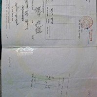 Cần Bán Lô Đất 100M2 Ngõ 40 Cái Tắt , An Đồng , An Dương Giá Chỉ 3,2 Tỷ