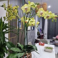 Định Cư Nước Ngoài Cần Bán( Hoặc Cho Thuê) Gấp Nhà 3 Tầng Mặt Tiền Nguyễn Như Hạnh Hoà Minh Đà Nẵng