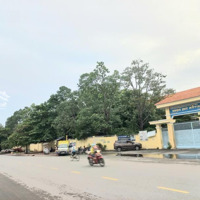 Nhà Mặt Tiền Phường 2, Quận 5 Cần Tiền Mua Nhà Nước Ngoài Giảm Giá, Bán Gấp Nhỉnh 53 Tỷ