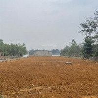 Giá Cho Nhà Đầu Tư F0 - Đầu Tư X2 Tài Sản