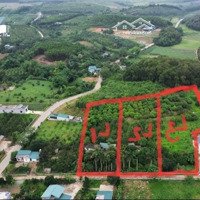 Chính Chủ Bán Lô Đất Tổng Diện Tích 7000M2 Đã Chia Làm 3 Số Thế Đất Đẹp Giá Hợp Lý