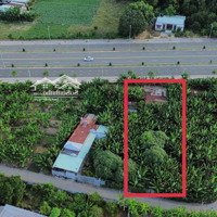 Đất Sào Phường Long Hương, Tp Bà Rịa, 900M2 Có 100M2 Thổ Cư, 16M Mặt Tiền Trước, 16M Mặt Tiền Sau