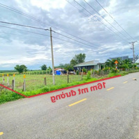 877M2 Đất Ở Đẹpmặt Tiềnđg Nhựa Rộng 6M Dài 16M Sẵn 100M2 Tc Ngay Khu Dân Cư Xã Láng Dài Giá Rẻ