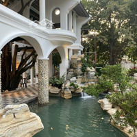 Mặt Tiền Dương Quảng Hàm Sát City Land- 5524M2 Full Thổ Cư Chỉ 63 Triệu/M2 Tl- Đang Kinh Doanh Nhà Hàng