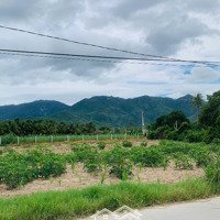 Bán Đất Lô Góc 2 Mặt Tiền Đường Lê Thánh Tông. Giá Chỉ 3, 5 Triệu/M2 Gần Trường Cấp 1 Cam Ranh
