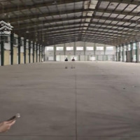 Cho Thuê Kho Xưởng Mặt Tiền Đường Quốc Lộ 22 ,Kcn Tân Phú Trung Củ Chidiện Tích6000 M2 Giá Bán 396 Triệu Pccc
