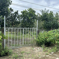 Bán Lô Đất Vườn Bình Dương 2586, Mặt Tiền Đường Nhựa, Sổ Hồng Riêng, Giá Chỉ 2Ty