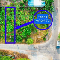 Đất Ngay Cụm Khu Công Nghiệp Tân Quy Củ Chi
