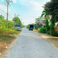 Đất Ngay Cụm Khu Công Nghiệp Tân Quy Củ Chi