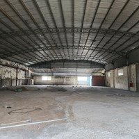 Cho Thuê Kho Đường Lý Thường Kiệt Ngay Chợ Tân Bình. Diện Tích: 400M2. Giá Bán 44 Triệu/Tháng