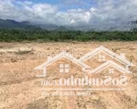 Siêu Hot * Cho Thuê Đất Trồng Cây Lâu Năm Hơn 3200 M2