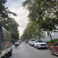 Duy Nhất Căn Nhà Vườn 120M2 A42 Geleximco Sát Đường Thông Vin Trục Đường Xương Cá Khu A, Giáp Vin