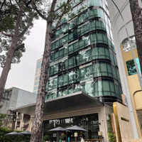 Bán Gấp Building Hạng A - 11 Tầng Mặt Tiền Lê Lai, Bến Thành, Q1.Diện Tích18.8X33M