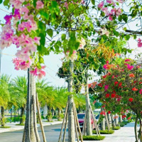 Bán Đất Nền Dự Án Tại Danko Avenue, Sông Công, Thái Nguyên, 1,8 Tỷ, 96M2, Đẹp, Nhiều Tiện Ích