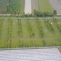 Bán Đất Tại Đường Bà Thiên, Xã Nhuận Đức, Củ Chi, Hồ Chí Minh, Giá Tốt 3,5 Triệu / M2, 10000 M2