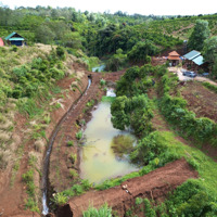 Đất Có Hồ Sinh Thái, View Ruộng Có Suối Chảy Qua, Đất Tp Pleiku, Về Cổng Kdl Biển Hồ Chỉ 5