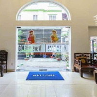 Bán Tòa Nhà Chdv Cửu Long, Tân Bình.diện Tích10X20M, 8 Tầng, Chỉ 50 Tỷ