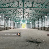 Kho Xưởng Bãi 2.200M2 Kho Xây Dựng 1.600M2 Có Pccc Tự Động Và Điện 3 Pha,Mặt Tiền Đường Quốc Lộ 61C