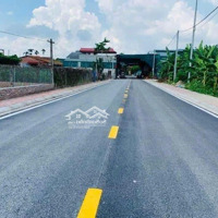 Bán Đất Đấu Giá Phù Bãi Thắng Lợi Văn Giang Hưng Yên 180M2 Giá 37 Triệu/M2