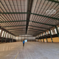 Cho Thuê Kho Xưởng 18.000M2 (Xd: 13.000M2) Ở Mỹ Yên, Bến Lức. Đường Container Tự Do, Pccc Tự Động.