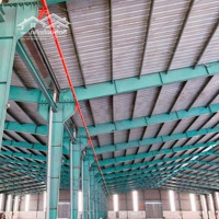 Cho Thuê Kho Xưởng 20.000M2 Tại Bến Lức, Long An - Xưởng: 13.000M2, Pccc Tự Động, Bình 1.000Kva