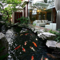 Bán Biệt Thự Ngay Cao Đức Lân, P.an Phú An Khánh, Quận 2, Dt: 10X20M , Giá: 42Tỷ Tl