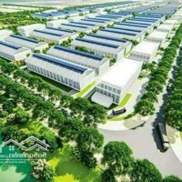 Cho Thuê Xưởng Trong Khu Công Nghiệp Bà Rịa, Vũng Tàu. Diện Tích 19000M2, 38000M2, 115.000M2