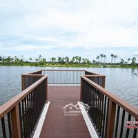 Bán Đất Nền Dự Án Nam Long Ii Central Lake Tại Cần Thơ, Mua Trực Tiếp Chủ Đầu Tư Nam Long