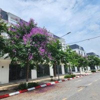 Liền Kề Nv6 Mới Đấu Giá,Diện Tíchtừ 118-135M2 Giá Từ 9,8 Tỷ Mặt Tiền 6M, Đã Đóng 30%, Thanh Toán Theo Tđ
